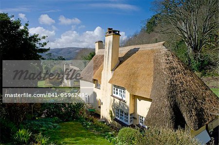 Picturesque Selworthy in Exmoor National Park, Somerset, England, United Kingdom, Europe