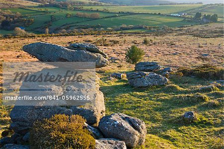 Affleurements de granit sur Hayne vers le bas dans le Parc National de Dartmoor, Devon, Angleterre, Royaume-Uni, Europe