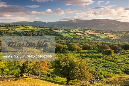 Marécage, rouler les champs et les montagnes noires de Brecon Beacons, Powys, pays de Galles, Royaume-Uni, Europe