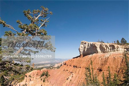 Black Birch Canyon, Bryce Canyon National Park, Utah, United States of America, North America