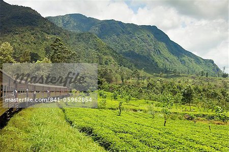 Die malerische Zugfahrt durch das zentrale Hochland mit seinen Bergen und Teeplantagen, nahe Nuwara Eliya, Sri Lanka, Asien