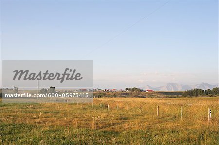 Prärie-Farm und Felder, Rocky Mountains im Abstand, Utopia Farm, Pincher Creek, Alberta, Kanada