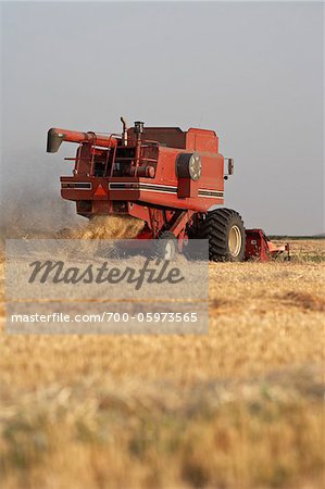 Axial-Flow Combine Harvesting Wheat in Field, Starbuck, Manitoba, Canada