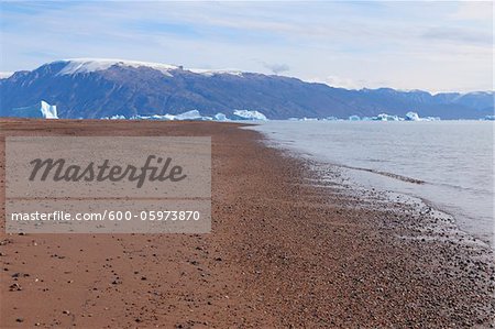 Plage, Harefjorden, Scoresby Sund, Groenland