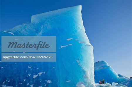 A wall of blue ice towers above hikers as they explore a huge iceberg frozen into the surface of Mendenhall Lake, Mendenhall Glacier, Juneau, Southeast Alaska, Winter