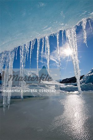 Soleil brille à travers de glaçons suspendus au bord de l'iceberg congelé dans la surface du lac Mendenhall, près du terminus du Glacier de Mendenhall, sud-est de l'Alaska, Juneau, hiver