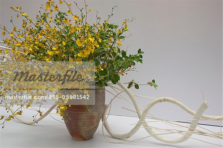 Arrangement de fleurs