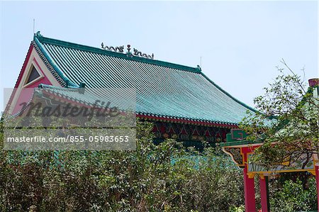 Monastère de CHUK Lam Shim Yuen Bamboo Grove, Tsuen Wan, Hong Kong