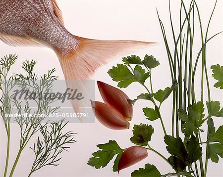 fish tail and herbs