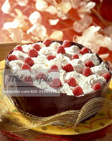 raspberry bavarian cream dessert