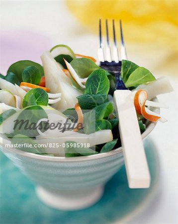 Salade de cresson, le fenouil et surimi