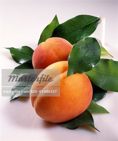 Apricots and leaves