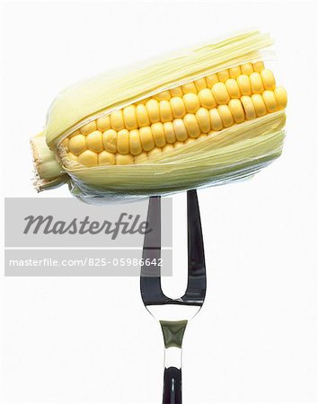 corn-on-the-cob