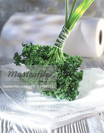 Bunch of curly parsley