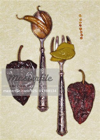 Indian spoon, fork and spices