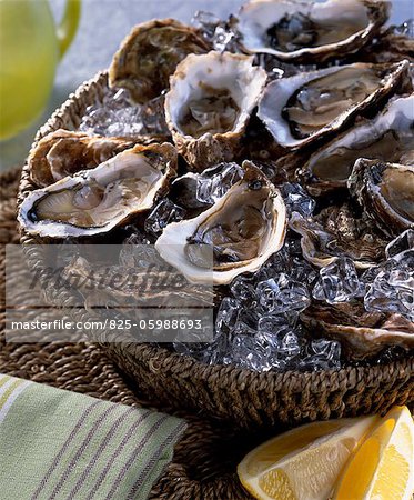 Oysters