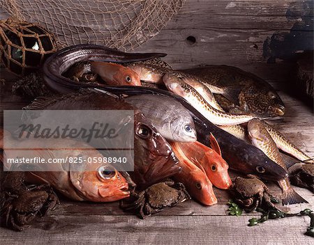 Arrangement of fresh fish for Bouillabaisse soup