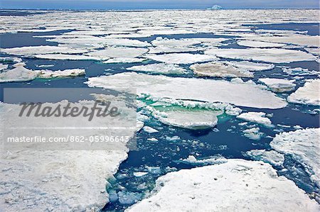 Pancake ice in the Weddell Sea off the east coast of the Antarctic Peninsula. Antarctica covers about 10% of the earth s surface.