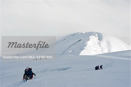 South America, Ecuador, Volcan Cotopaxi (5897m), highest active volcano in the world, climbers roped up on the mountain