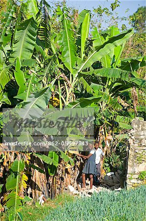 The Caribbean, Haiti, Port of Prince, Kenscoff mountains, girl and boy in a banana plantation
