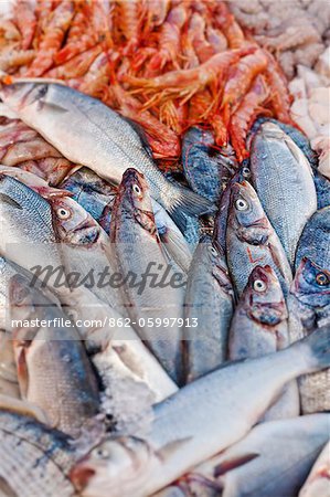 Italy, Apulia, Lecce district, Salentine Peninsula, Salento, Gallipoli, Fresh seafood on display in the harbour