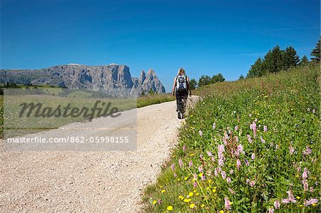 District d'Italie, Trentin-Haut-Adige, Bolzano, Tyrol du Sud, Alpe di Siusi. Sciliar.