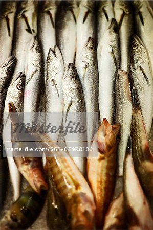 Italy, Puglia, Lecce district, Salentine Peninsula, Salento, Gallipoli. fish market.