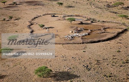 Une ferme traditionnelle d'une famille de Samburu. Le Samburu sont des pasteurs semi-nomades qui vivent au nord du Kenya.