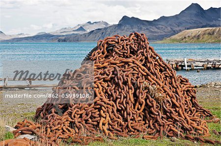 A massive pile of rusting anchor chain   a relic from the days when Grytviken was South Georgia s longest running whaling station, operating from 1904 until it closed in 1965. In its heyday, it employed 300 men, mostly Norwegian.