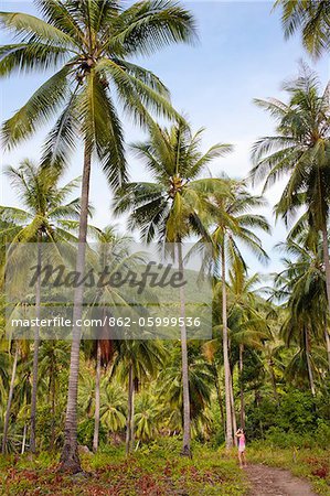 Thailand, Ko Samui, Woman photographing jungle