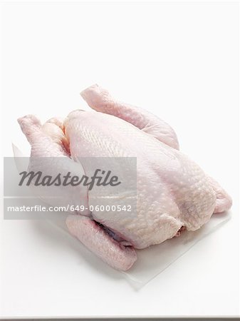 Gros plan du poulet cru