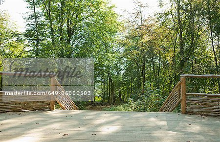 Wooden platform with steps in forest