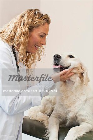 Veterinarian petting dog in office