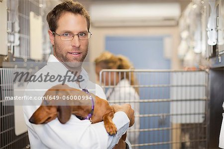 Veterinarian holding dog in kennel