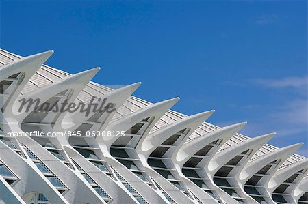 Museo de las Ciencias Príncipe Felipe, la cité des Arts et Sciences, Valence. Architectes : Santiago Calatrava