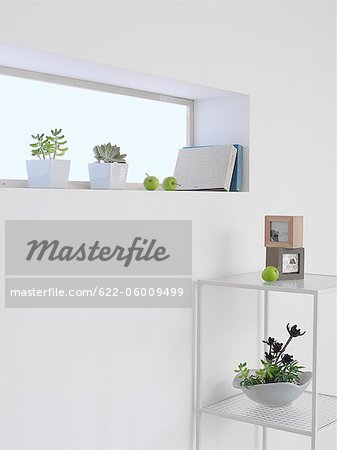 Petites plantes en Pots sur le rebord de la fenêtre chambre