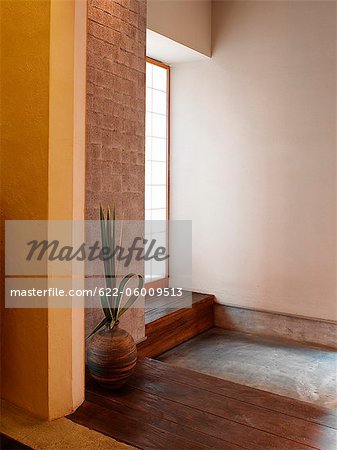 Large Vase With Plant In Corner Of Room, Wood Floor