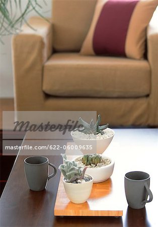 Cups And Small Potted Plants On Table