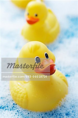 Row of rubber ducks in bubble bath, elevated view, close-up