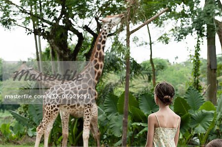 Girl watching giraffes at zoo