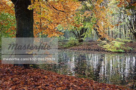 Ruhigen Teich im Herbst