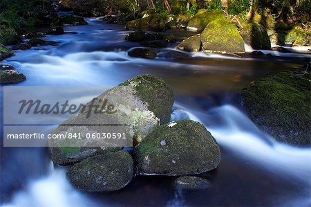 Rivière Teign, Parc National de Dartmoor, Devon, Angleterre, Royaume-Uni, Europe
