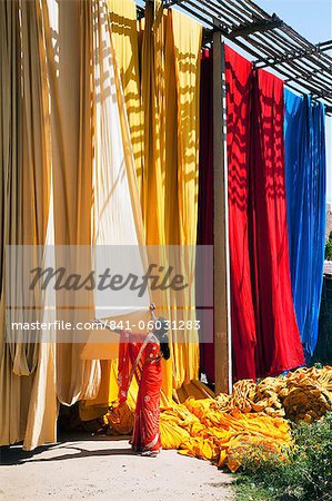 Femme en sari vérifie la qualité de tissu fraîchement teint suspendus pour sécher, Sari garment factory, Rajasthan, Inde, Asie