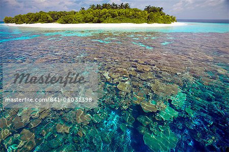 Plaques de corail, lagon et tropical island, Maldives, océan Indien, Asie