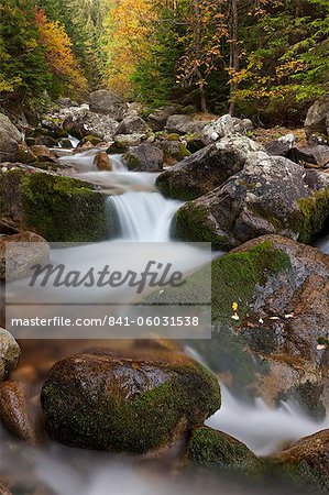 Rocky mountain stream through autumn woodland, Tatra Mountains, Slovakia, Europe