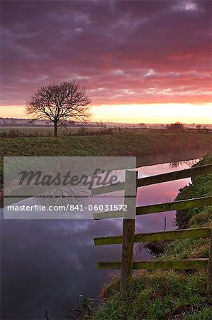 Somerset Levels sunrise over the River Brue near Glastonbury, Somerset, England, United Kingdom, Europe