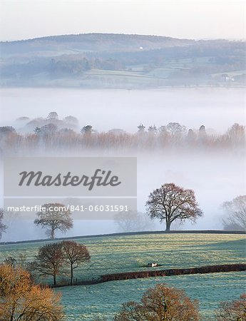 Mist covered countryside in the Exe Valley just north of Exeter, Devon, England, United Kingdom, Europe