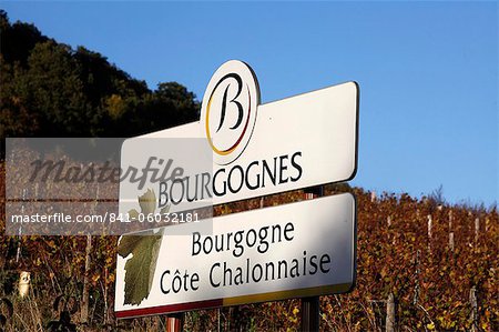 Burgundy vineyard sign, Culles-les-Roches, Saone-et-Loire, Burgundy, France, Europe