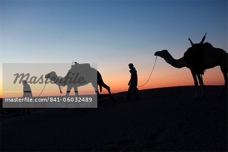 Pilotes de chameau au crépuscule dans le Sahara désert, près de Douz, Kébili, Tunisie, l'Afrique du Nord, Afrique