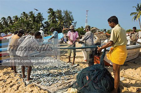 Fishermen with fish in nets on this popular surf beach, badly hit by the 2004 tsunami, Arugam Bay, Eastern Province, Sri Lanka, Asia